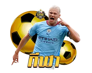 LMB888 แทงบอล เว็บตรง อัตราต่อรองดี